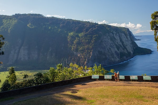 Waipio Valley Lookout which includes rocky coastline, general coastal views and views