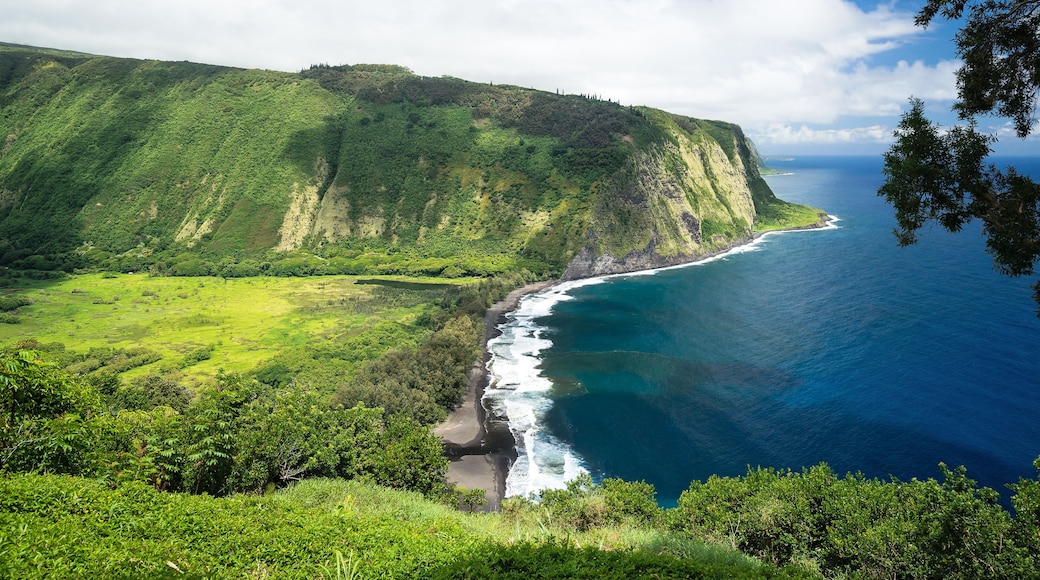 Waipio Valley View on Big Island Hawaii