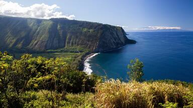 Kukuihaele featuring landscape views, tropical scenes and rocky coastline