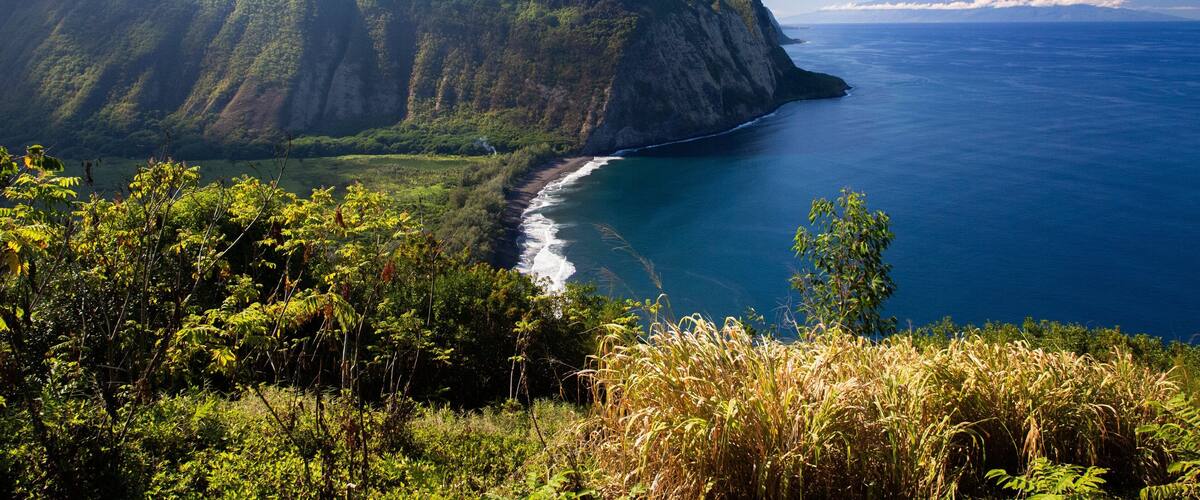 A coastal landscape with a steep cliff, a beach, and dense greenery.