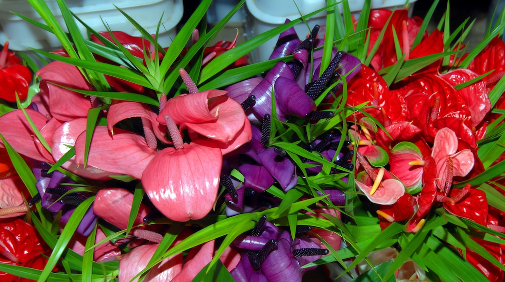 Marché couvert Hilo Farmers Market