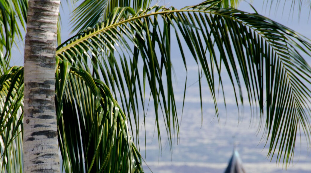 キングス ショップス