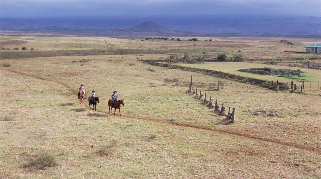 Parker Ranch Center showing tranquil scenes, horseriding and farmland