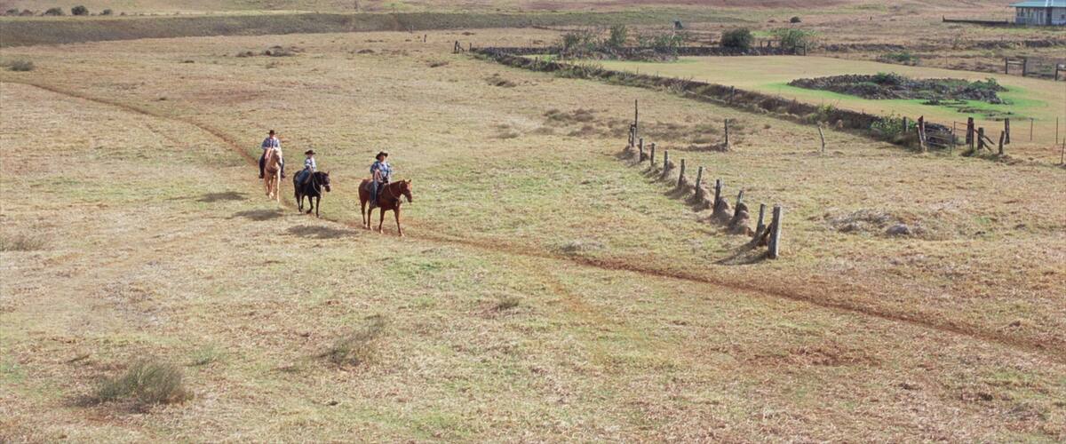 Parker Ranch Center showing tranquil scenes, horseriding and farmland
