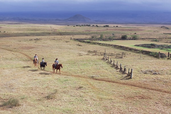 Parker Ranch Center showing tranquil scenes, horseriding and farmland