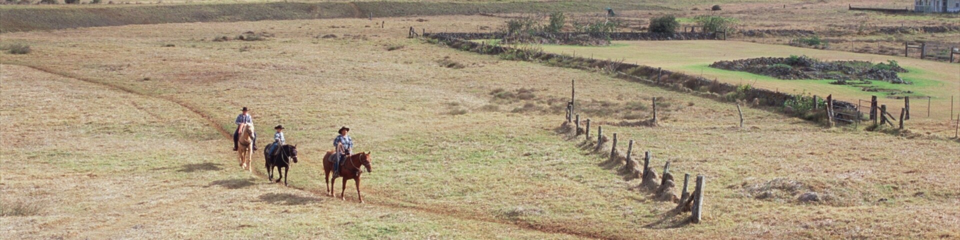 Parker Ranch Center showing tranquil scenes, horseriding and farmland