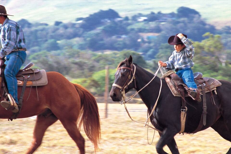 Duas pessoas a cavalo em um campo aberto, com colinas ao fundo.