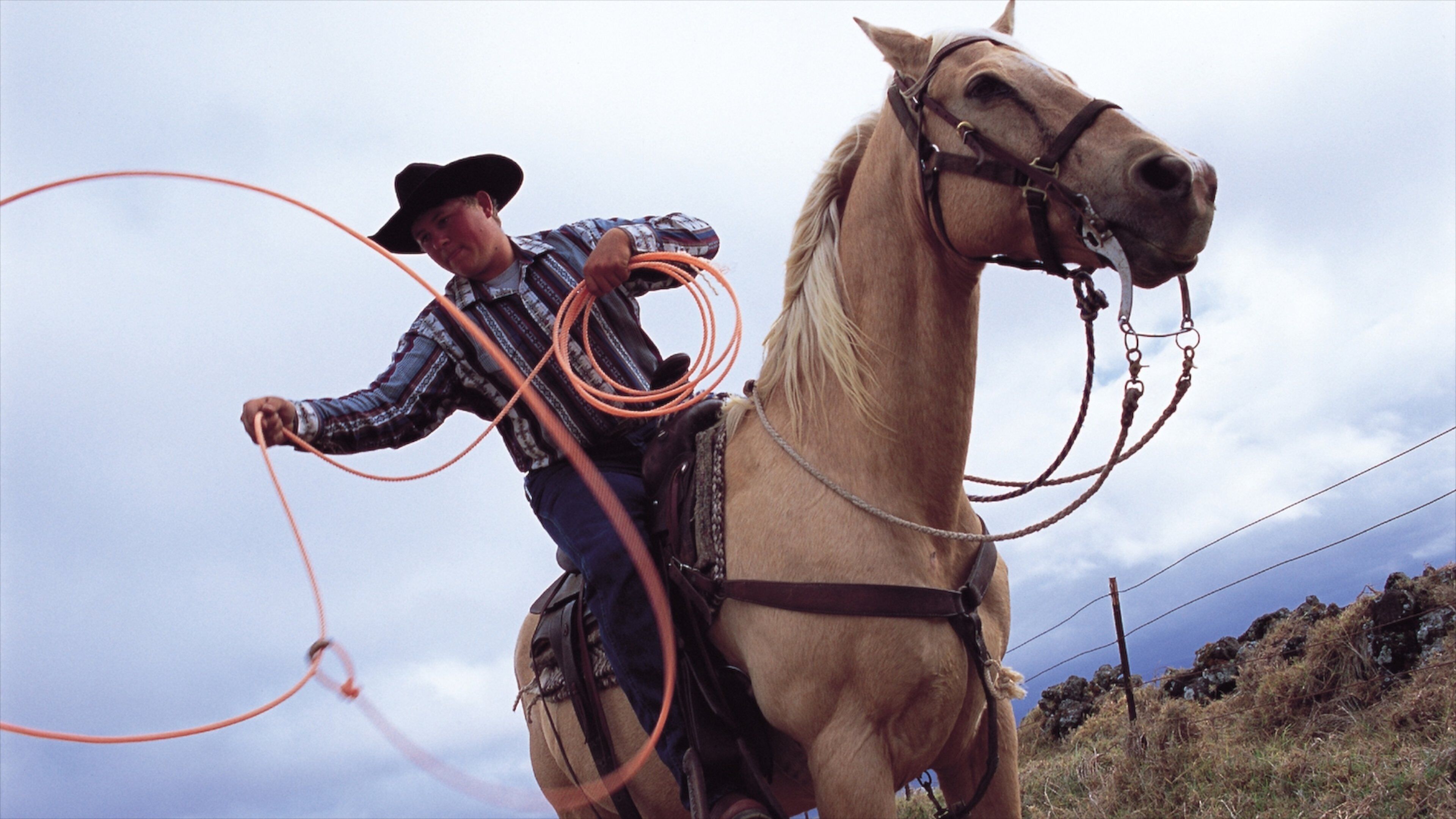 Parker Ranch Center featuring land animals and horseriding as well as an individual male