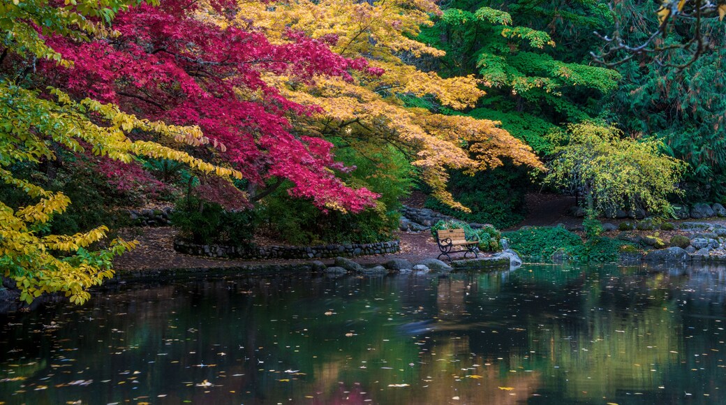 Lithia Park by the lake in the Autumn, pond, featuring red, yellow and green reflections on the water