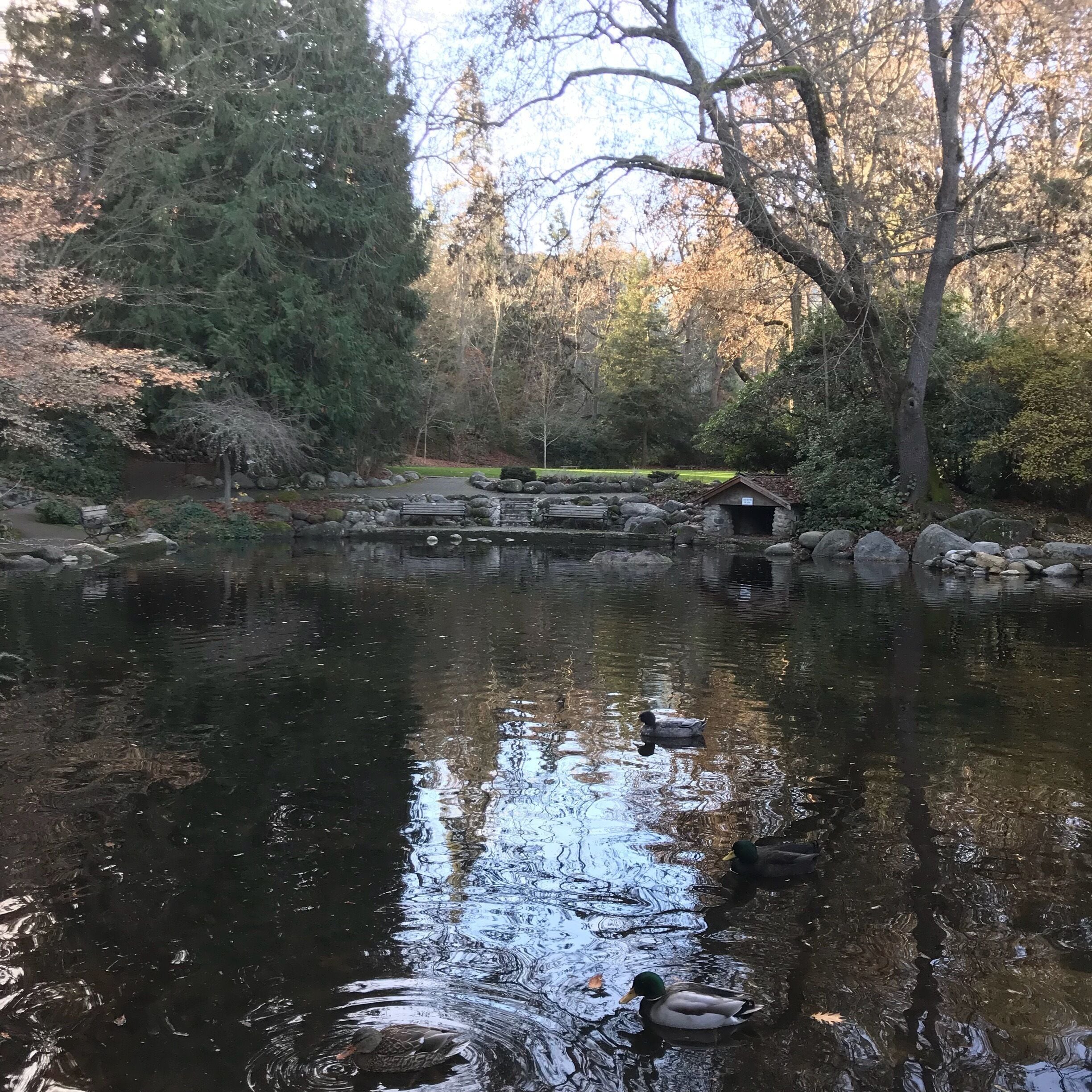 Looks more like a little square in Nottingham Hill than Oregon.  Lovely town with festive holiday lights at night.