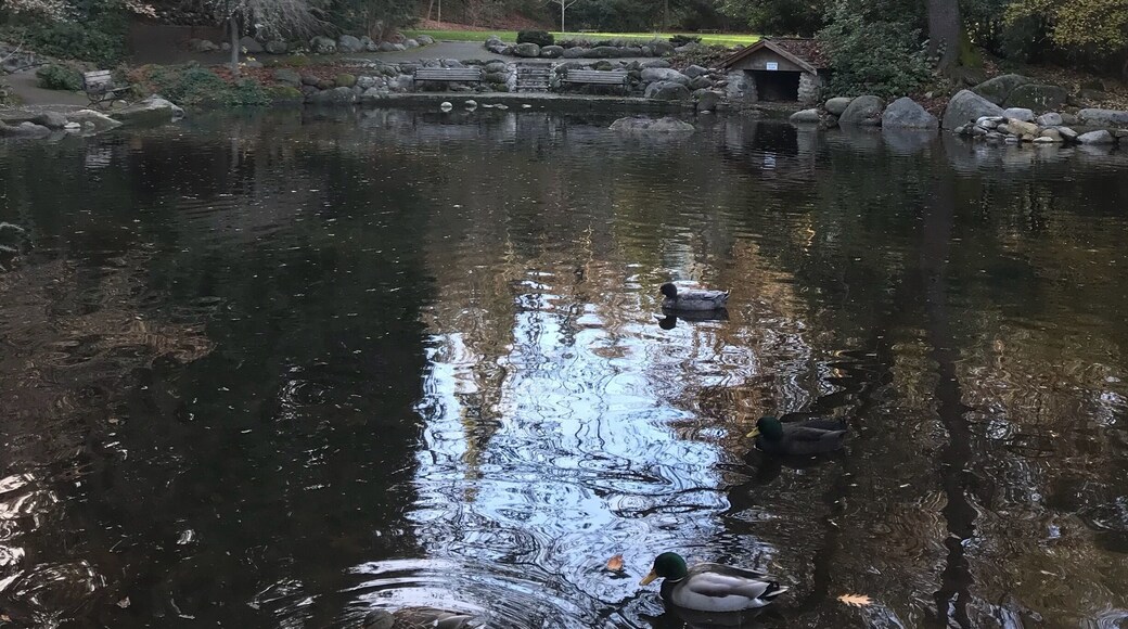 Looks more like a little square in Nottingham Hill than Oregon. Lovely town with festive holiday lights at night.