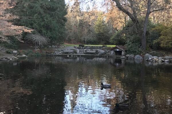 Looks more like a little square in Nottingham Hill than Oregon. Lovely town with festive holiday lights at night.