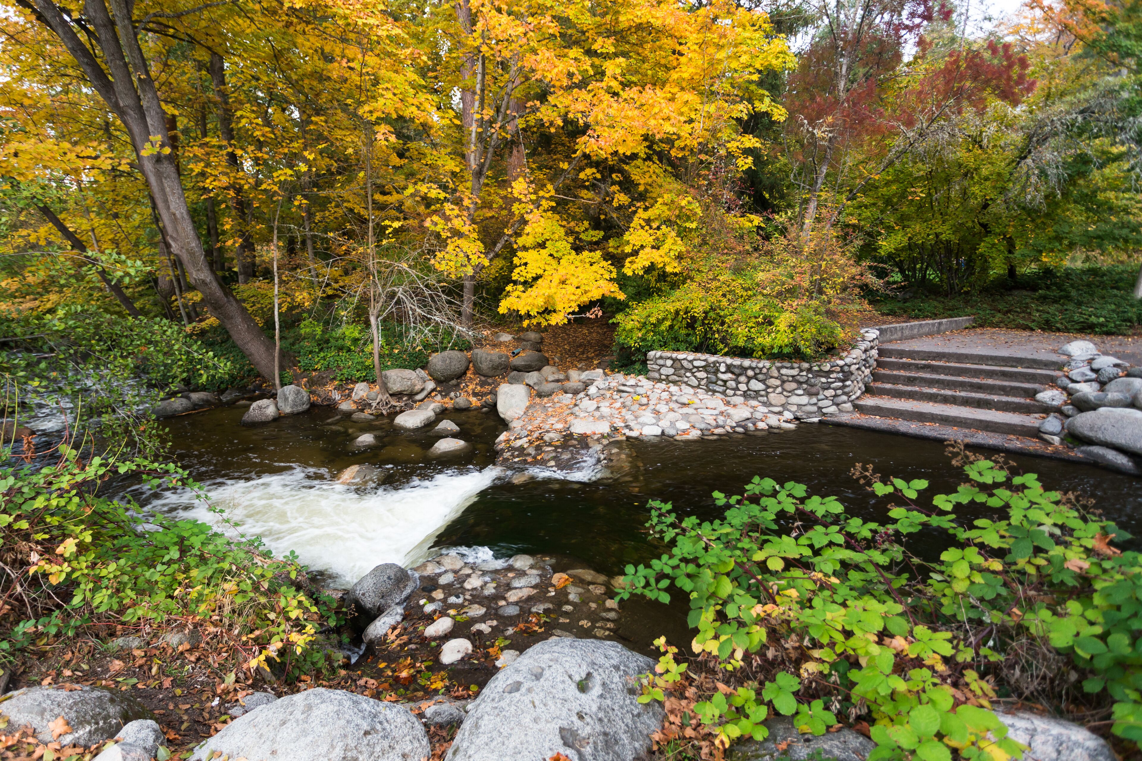Un arroyo serpenteando sobre rocas con un puente de piedra y follaje otoñal.