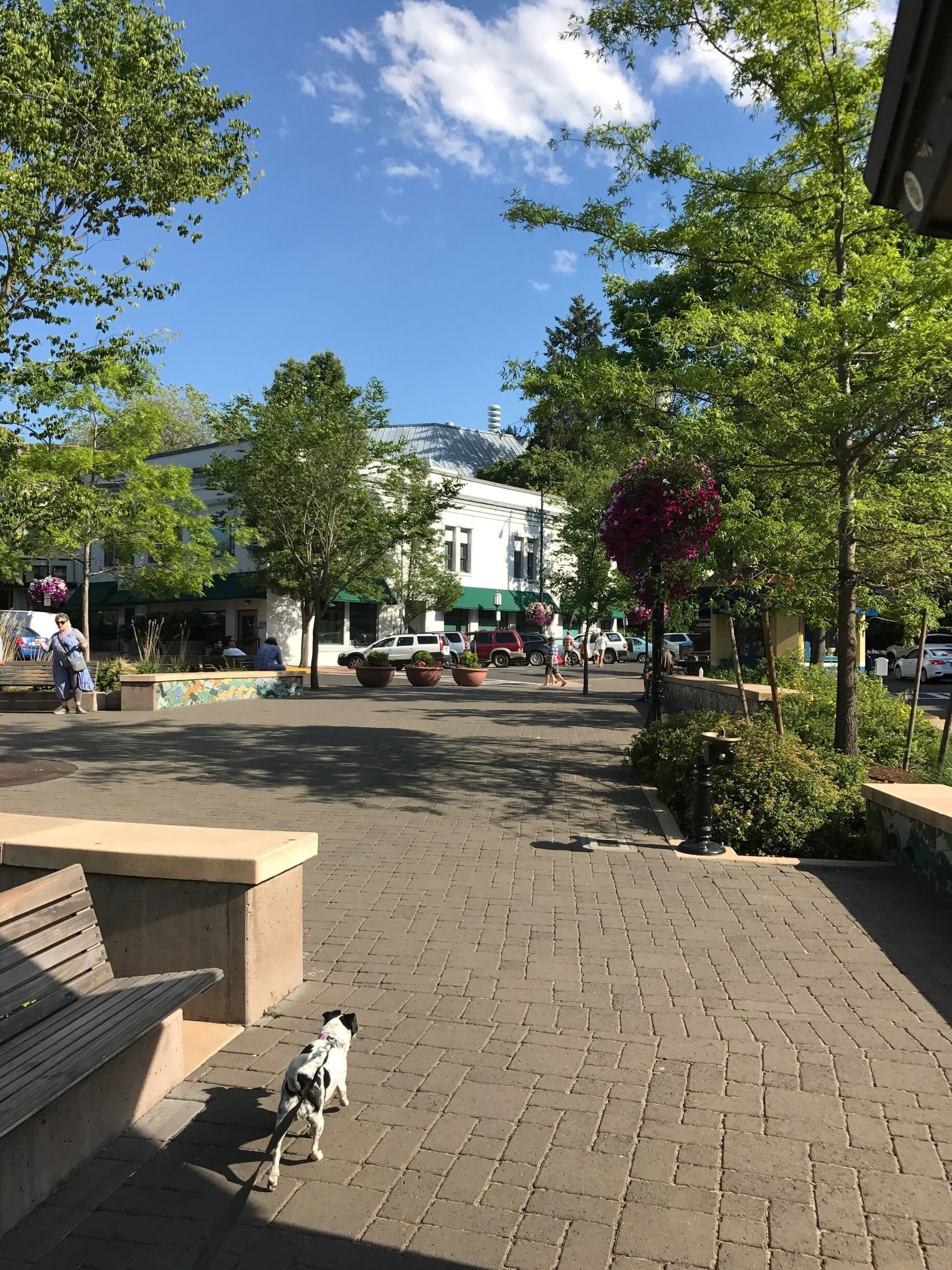 Ashland is famous for it's Shakespeare Festival but year round has a very English feel 