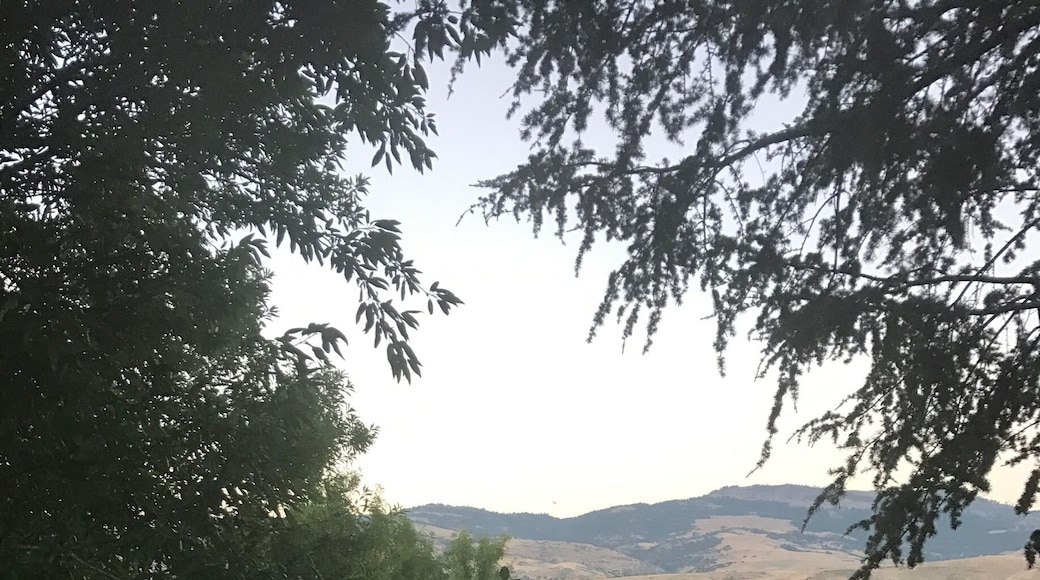 Walked across the street from the ER and imagine this was the view from a physician parking lot