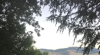 Walked across the street from the ER and imagine this was the view from a physician parking lot