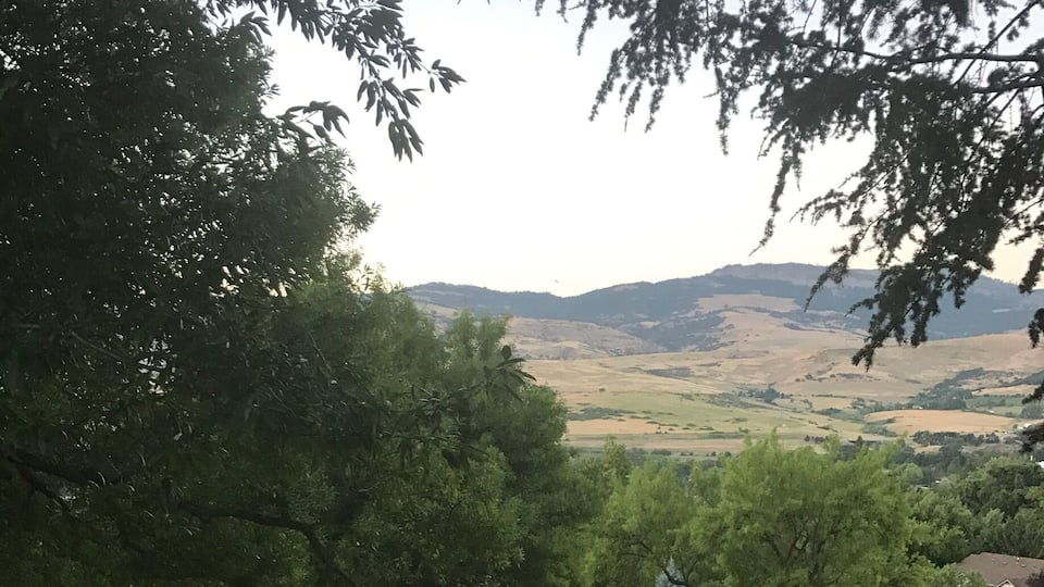 Walked across the street from the ER and imagine this was the view from a physician parking lot