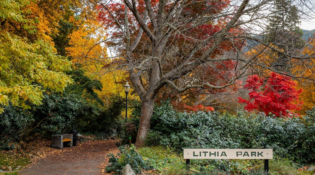 Famous Ashland Lithia Park Entrance and Sign in Autumn