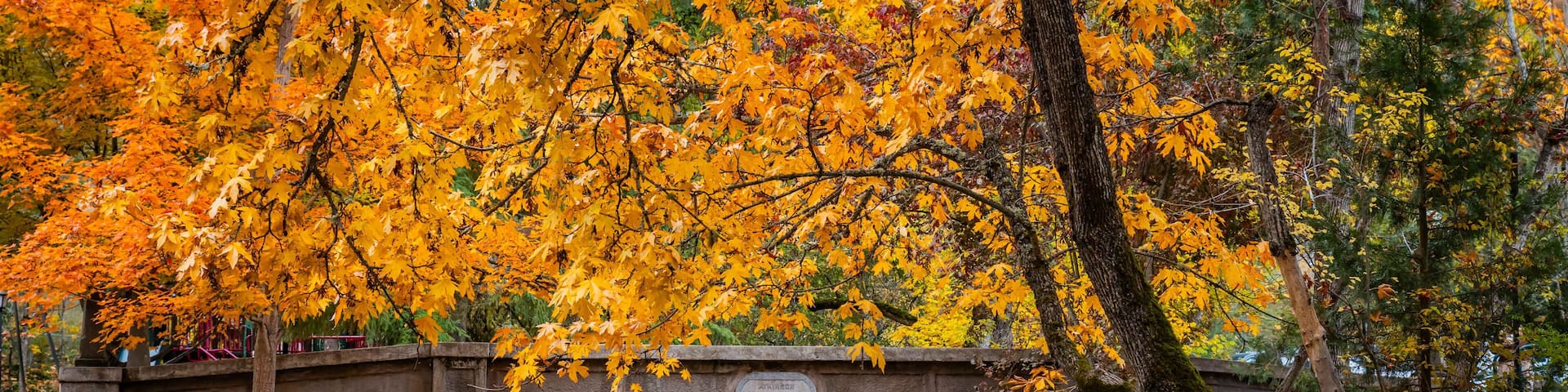 Beautiful Historic Bridge of Lithia Park at Golden Fall in Ashland