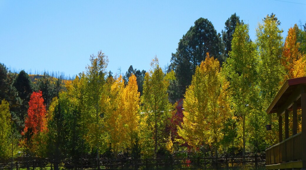Big Sky Community Park