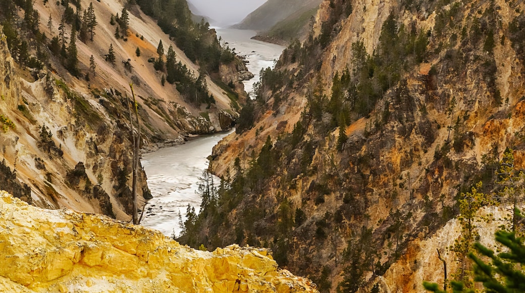 I arrived at this location at dusk and managed to capture this image with the rocks warmed but the last of the sunset sky. This Iconic image of Yellowstone National park was top of my 'must dos for Yellowstone" and it did not disappoint. I also attempted sunrise and another sunset that were not as rewarding - timing is everything. #Adventure #yellowstone #sunset #Artists #point Nikon D850 24-120mm @120mm, F13, ISO 31, 10sec.