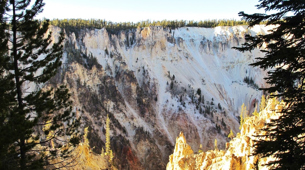 The Grand Canyon of Yellowstone at sunset