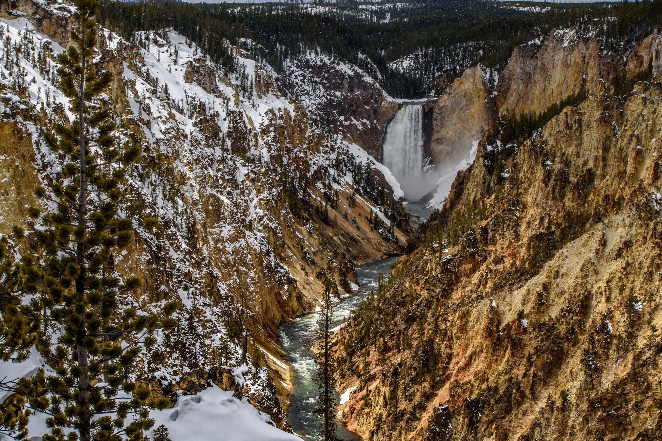 Probably the most spectacular view in the entire park, Yellowstone Falls & the Grand Canyon of the Yellowstone #yellowstone #nationalpark #wyoming #USA #america #waterfalls #canyon #nature #landscape #winter #ice #snow #cold #nikon #travelphotography #landscapephotography #beautiful #weekend #colorful #roadtrip #adventure