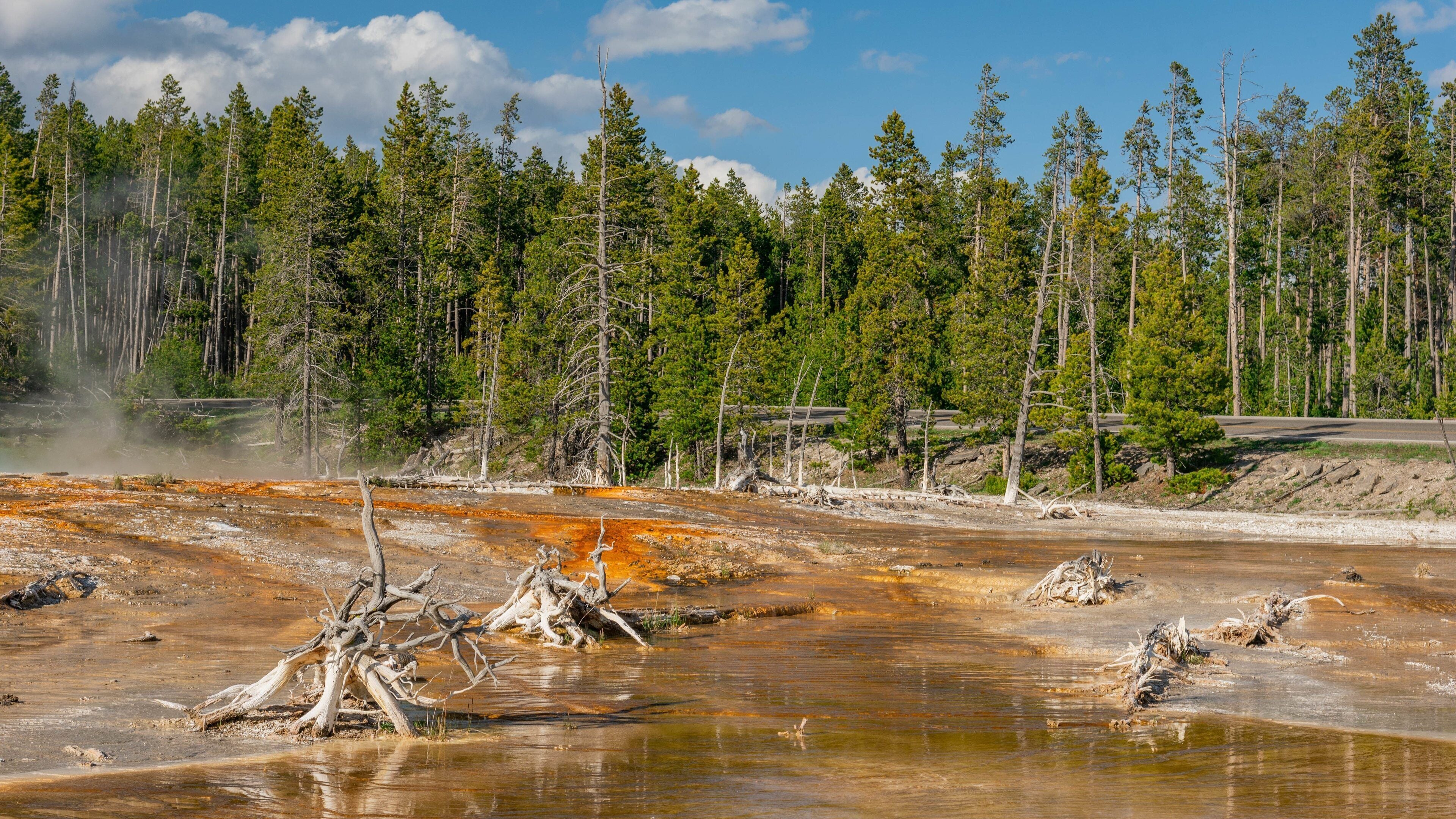 A geothermal area with mineral deposits, a forest in the background, and a road.
