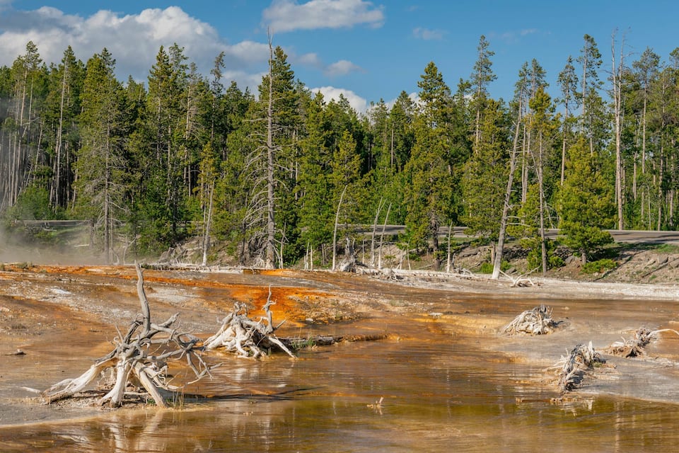 A geothermal area with mineral deposits, a forest in the background, and a road.