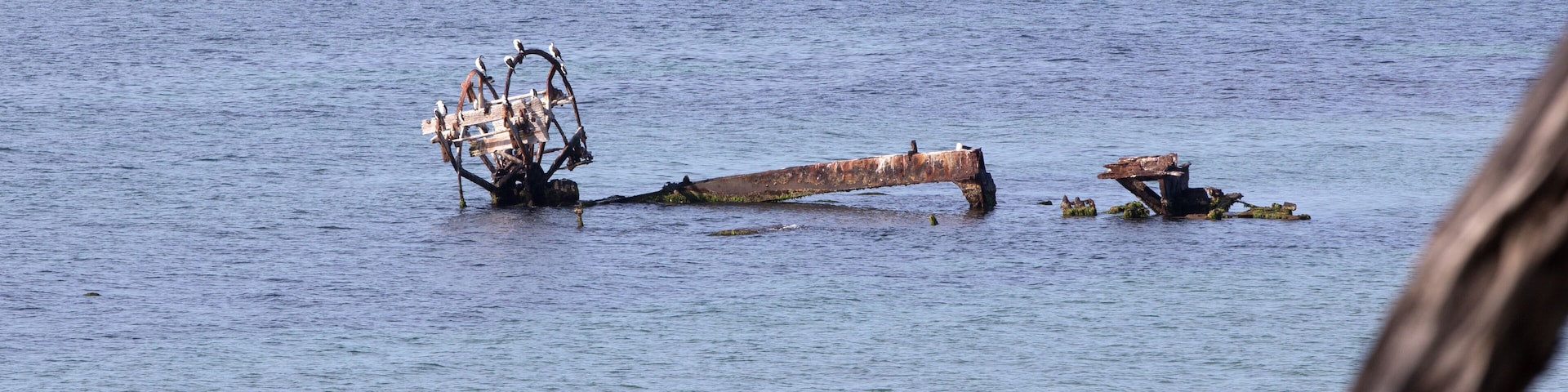 The Wreck of the Ozone, Indented Heads, Victoria, Australia.