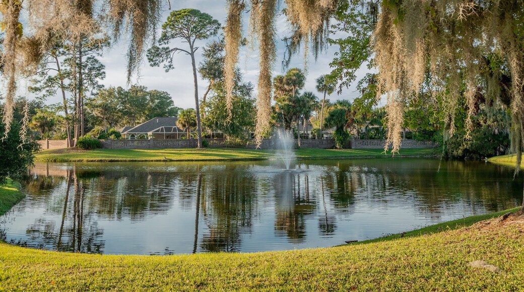 Palm Harbor Golf Club featuring a pond and a fountain