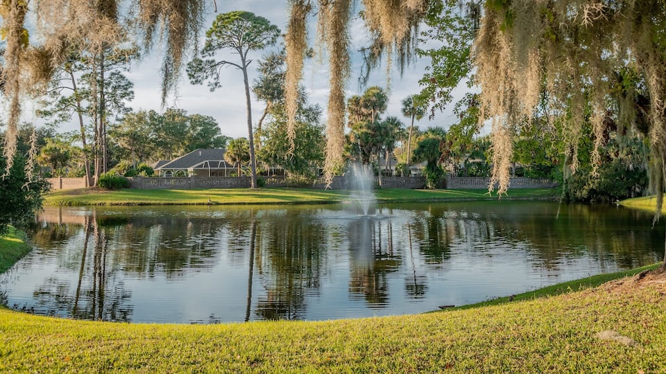 Palm Harbor Golf Club featuring a pond and a fountain