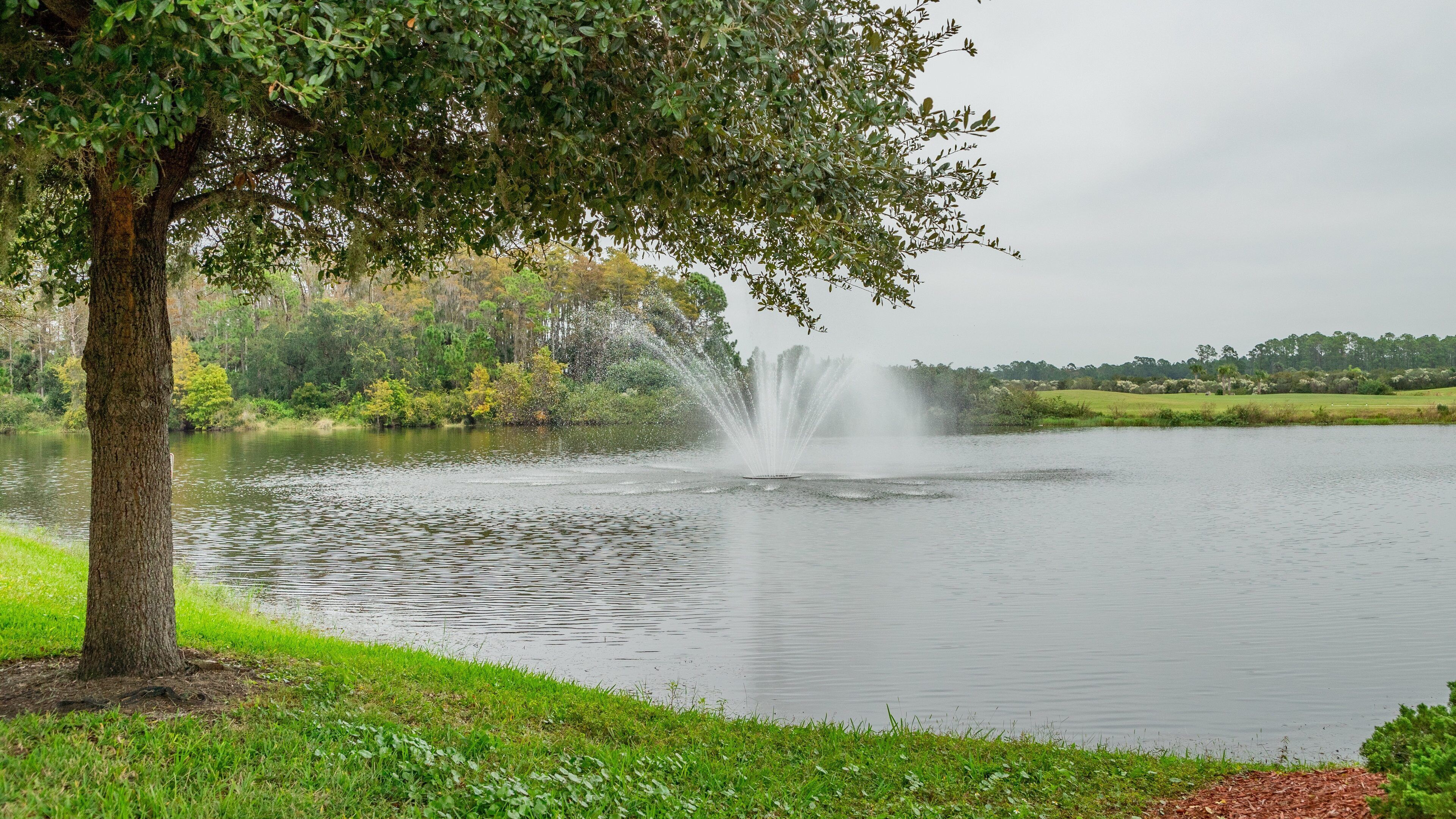 Venetian Bay Golf Club showing a pond and a fountain