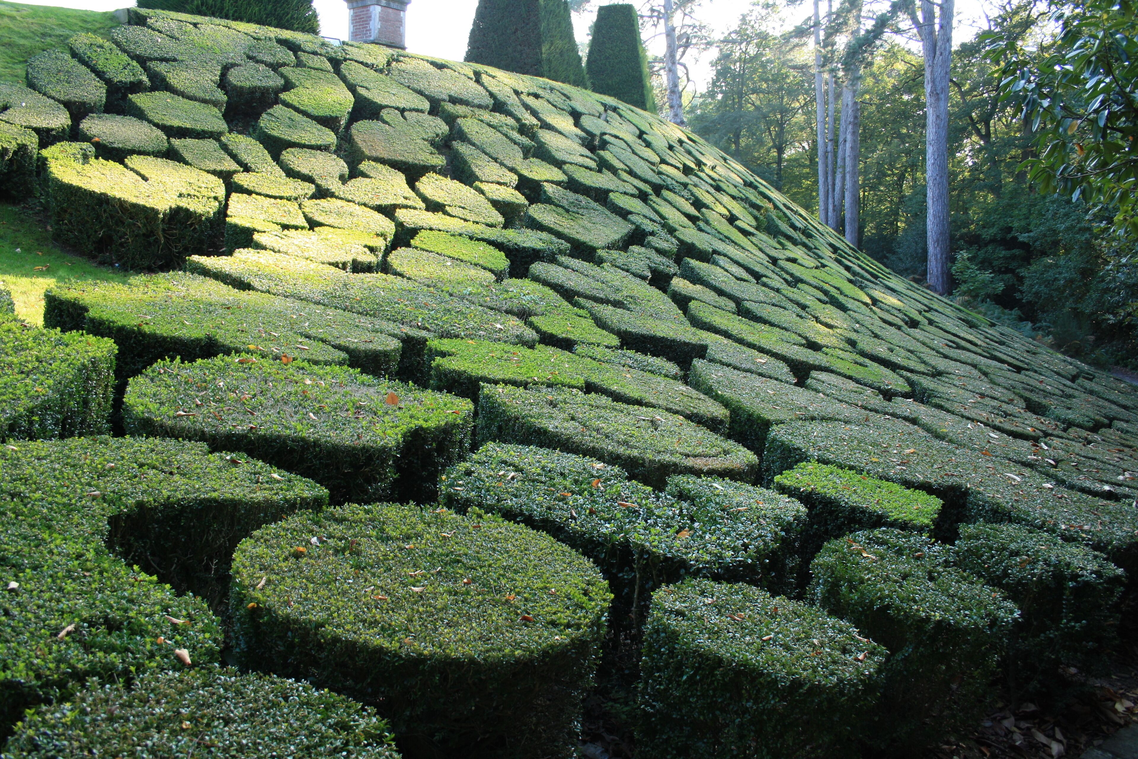 A landscaped garden with hexagonal and circular hedges arranged in a tiered pattern.