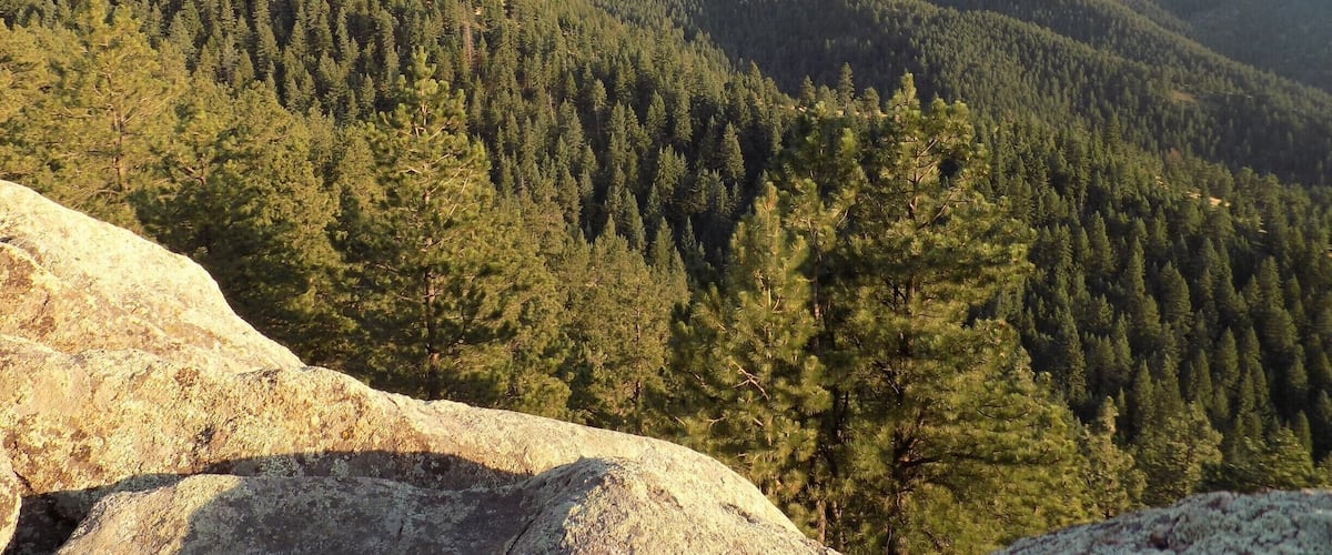 Evening bathes the forested foothills in warm light.