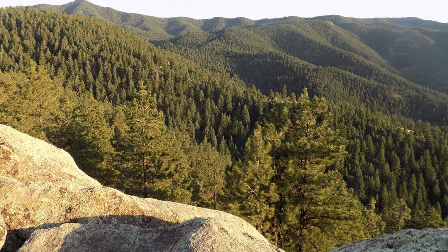 Evening bathes the forested foothills in warm light.