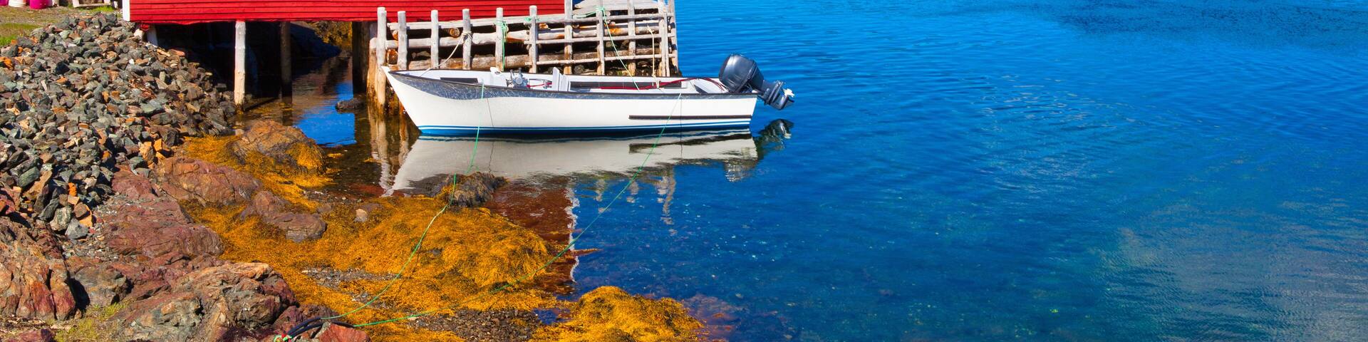 Boat Houses, Avalon Peninsula, Newfoundand, Canada
