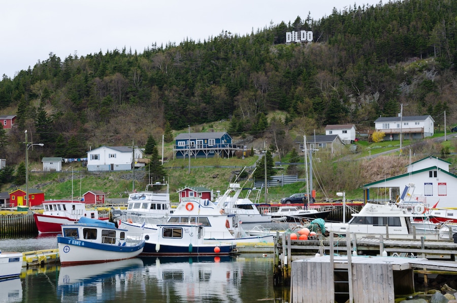 Boats and colorful homes reflect in the Atlantic Ocean in the Newfoundland village of Dildo