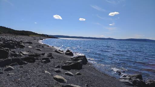 Day trip finds in NL. #staycation #baycation