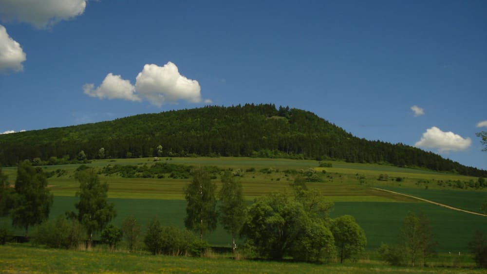 Ein grüner Hügel mit bewaldeter Spitze und blauem Himmel.