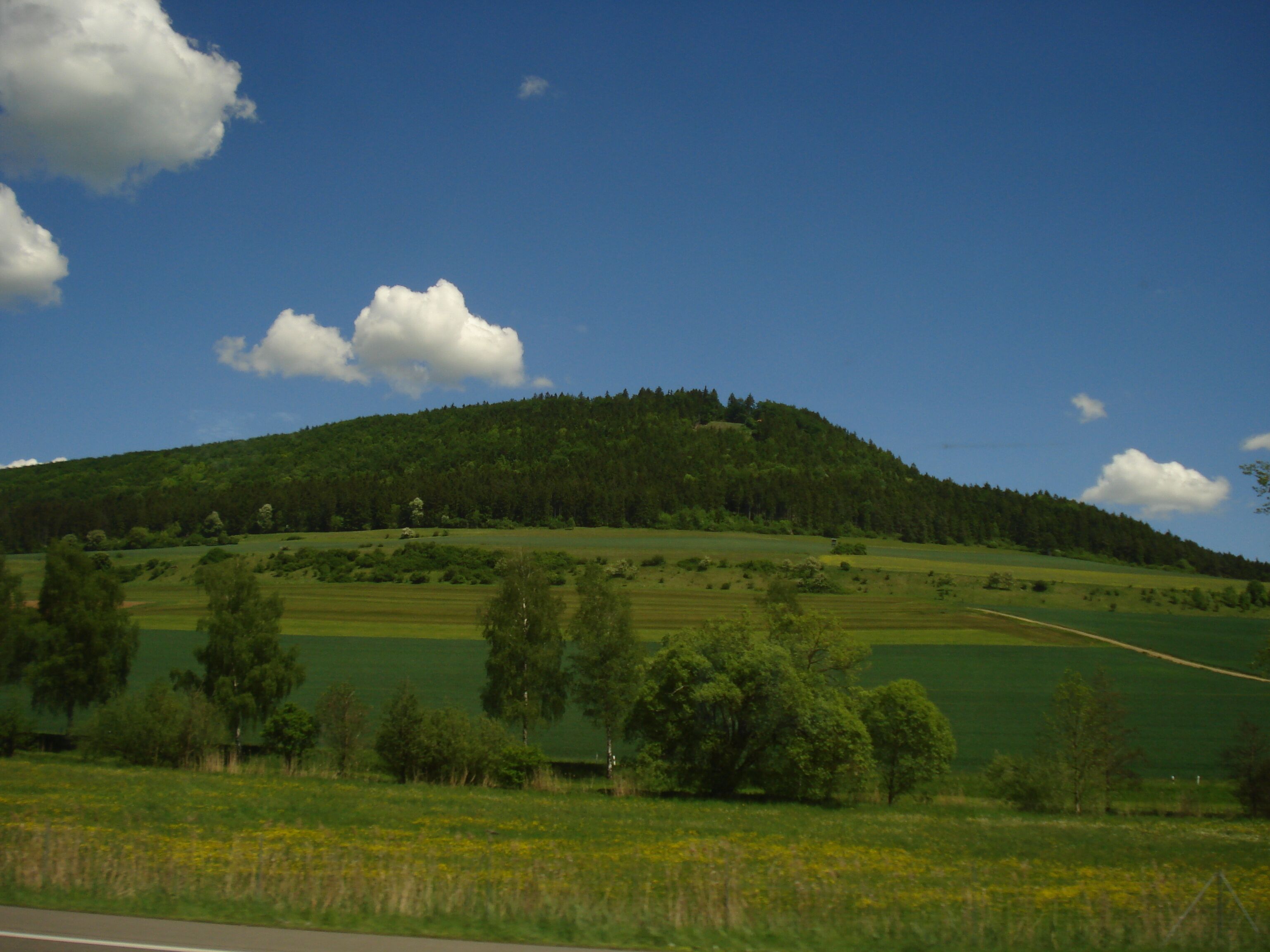 A green hill with a forested top and a clear blue sky.