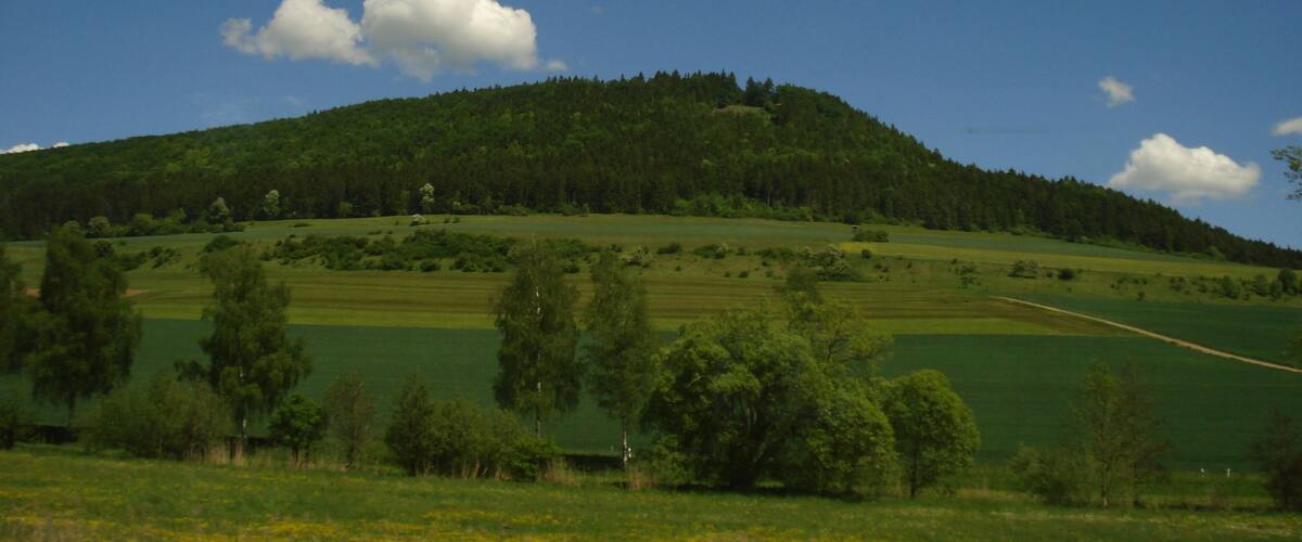 A green hill with a forested top and a clear blue sky.