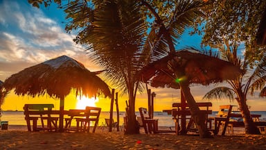 Una playa con bancos de madera, un paraguas de paja, palmeras y el océano al atardecer.