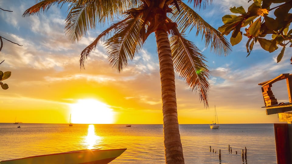 A sunset over a calm sea with a boat on the shore and a palm tree in the foreground.