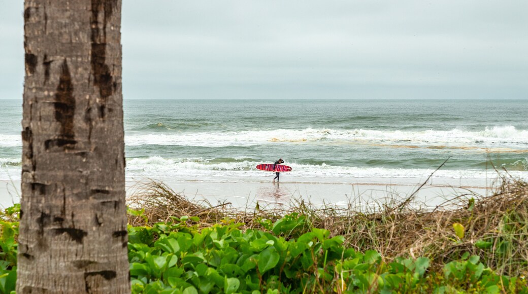 Andy Romano Beachfront Park which includes general coastal views