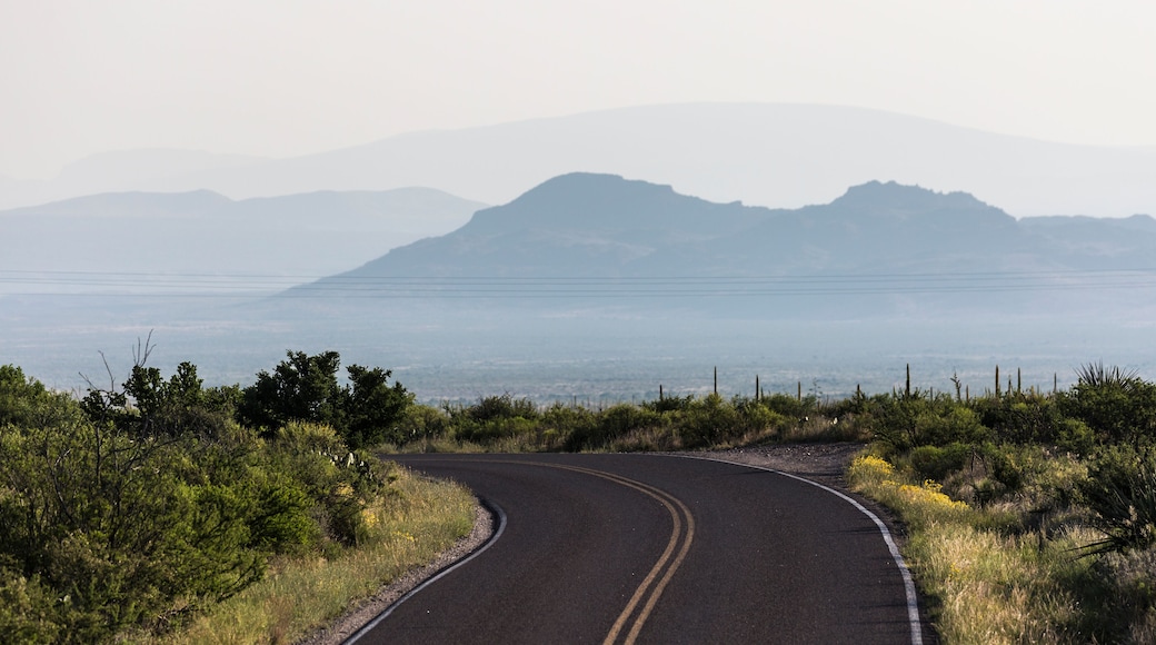 Parque estatal de Big Spring