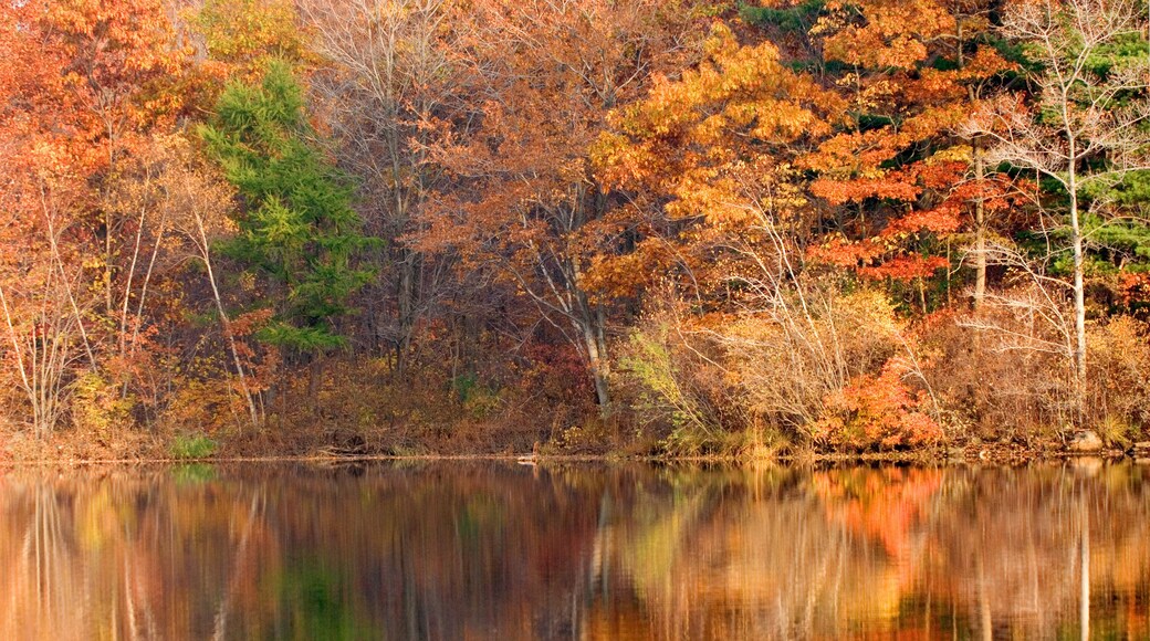 Parque recreativo Heritage Park