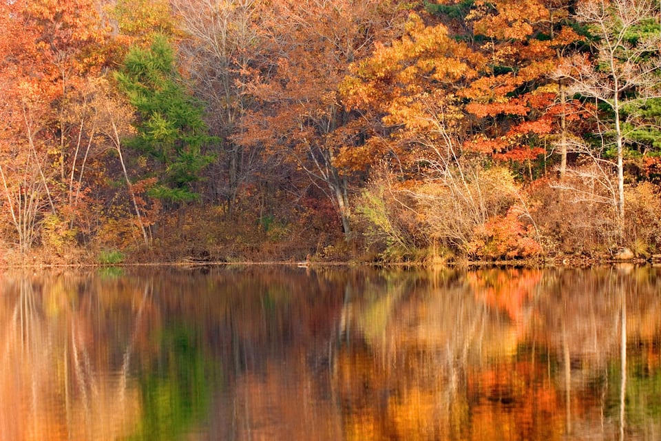 A calm lake surrounded by autumn-colored trees reflecting the vibrant foliage.