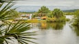 A calm river with kayaks and canoes docked on the shore, surrounded by lush greenery and palm trees.