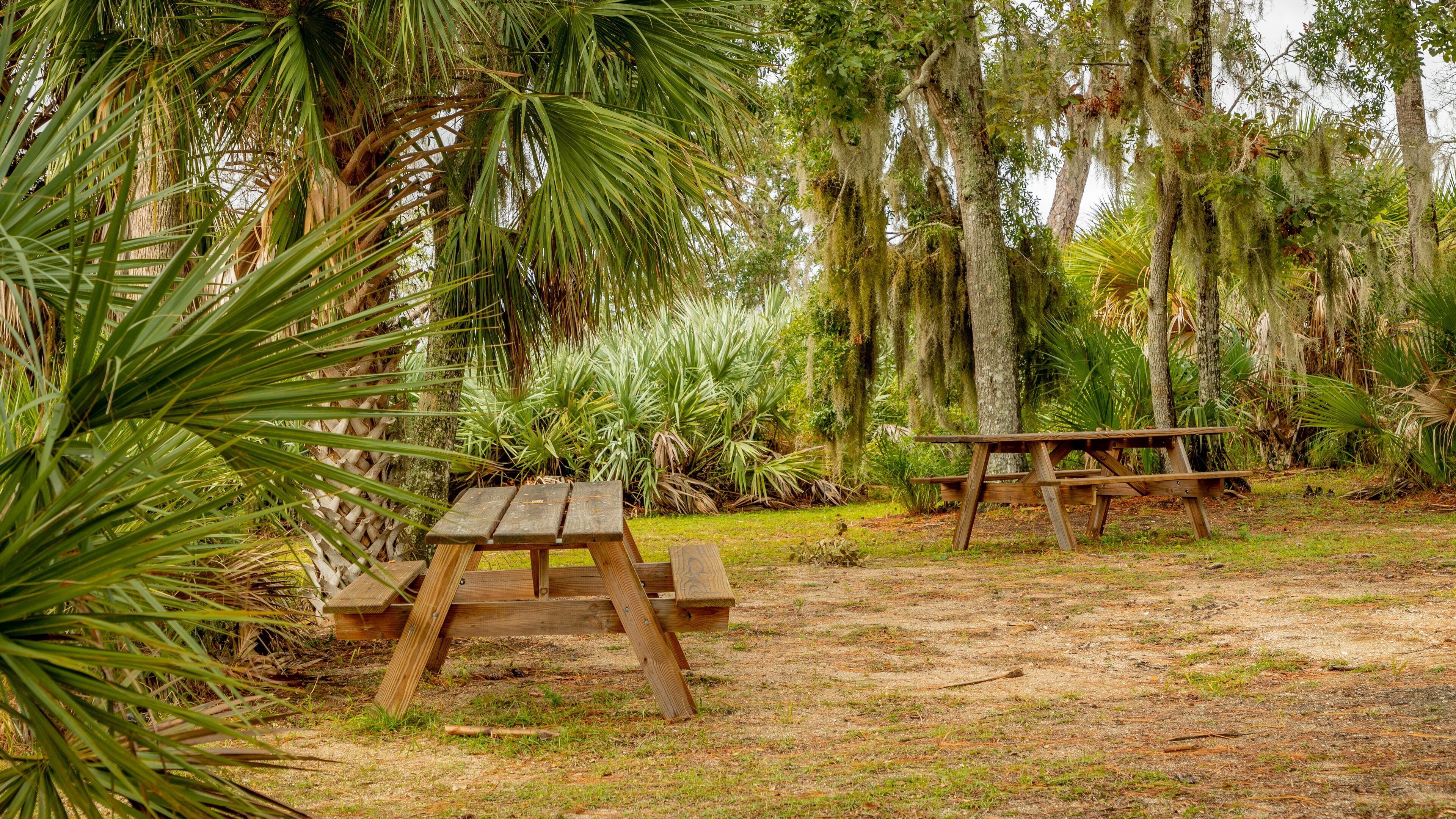 Tomoka State Park featuring a park